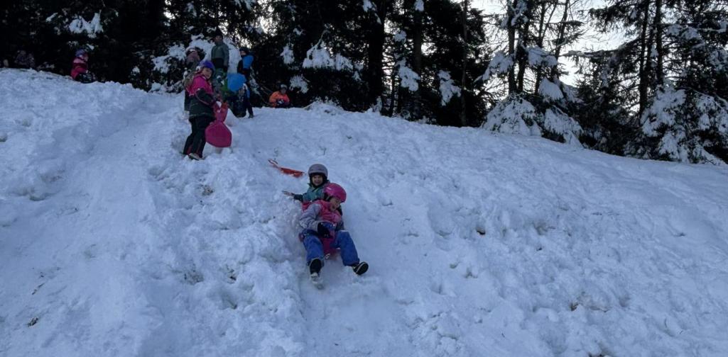 Rutschblattln Rutschen